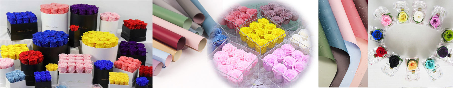 Preserved Flowers | Eternal Flowers | Forever Flowers | Infinity Rose