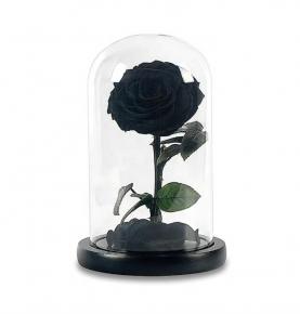 Factory Preserved Roses Beauty Black Real Everlasting Flower Forever Eternal Preserved Rose In Glass Dome