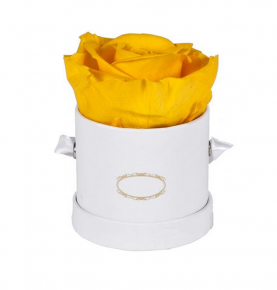 Hot Sale Everlasting Orange Eternal Flower Wholesale Preserved Roses Flower In Round Gift Box
