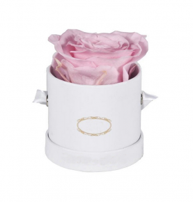 Custom Mother Day Gifts A grade Long Lasting Forever Rose Flower Pink Preserved Roses In Gift Box