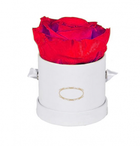 Preserved Flower In Gift Box For Wedding And Other Festivals Rose Box