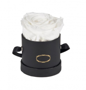 New Design Long Life Romantic White Preserved Roses Flower in Gift Box for Friends and Relatives