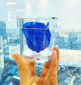 Custom Clear Single Rose Acrylic Cube Round Gift Box For Preserved Roses House Decorations