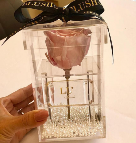 New Arrival Clear Acrylic Single Preserved Rose Display Box Lucite Flower Storage Box
