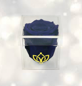 Luxurious Square Clear Acrylic Everlasting Flower Storage Boxes Acrylic Rose Gift Boxes With Lid 