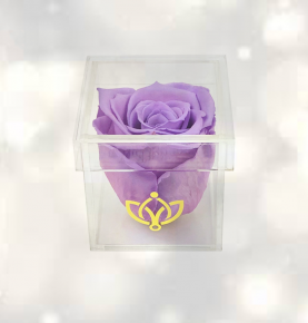 Wedding Gifts Romantic Clear Rose Square Storage Case Acrylic Flower Box Mirror Box 