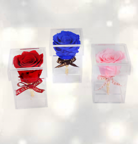 Exquisite Clear Single Acrylic Rose Box Acrylic Flower Box 1 Hole For Infinity Rose