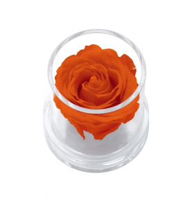 Customized Small Acrylic Plexiglass Round Flower Box For Single Rose Festival Gift