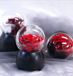 Enchanted Preserved Eternal Flowers Red Rose Music Box for Women Gifts Christmas