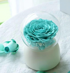 ​Long Lasting Infinity Roses Preserved Flower in Glass Dome Music Box Valentine's Day Gift 