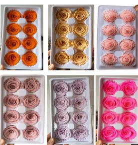 Preserved Roses Fresh Real Touch Rose Box Eternal Everlasting Rose Wedding Gift 