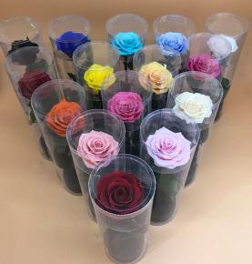 Hot Sale Eternal Flower Single Long Lasting Preserved Roses Real Long Stem Flower In Pvc Box