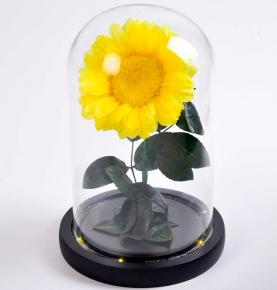 Preserved Sunflower In Glass Dome Decorative Night Lamp Flower In Glass Gift For Mother's Day Valentine 