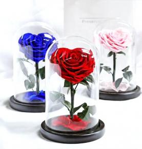 12*20cm Hearted Shape Roses Gift Box Forever Preserved Flower Eternal Rose In Glass For Home Decoration