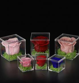 Eternal Single Acrylic Rose Box Wedding Home Decoration Handicraft  Forever Flower Preserved Roses