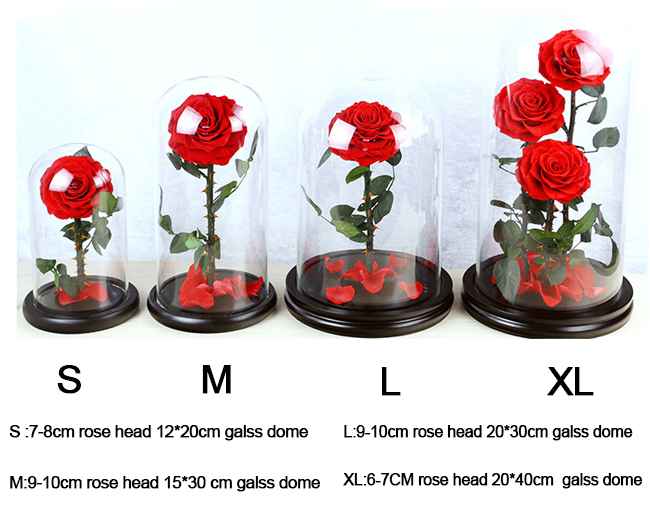 4 sizes.png