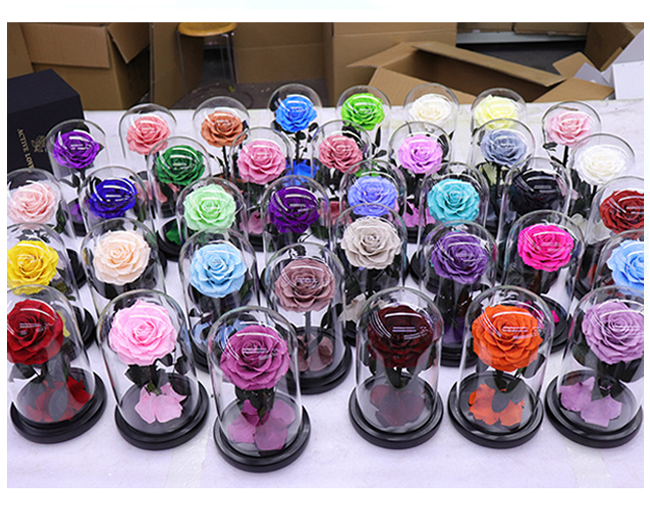 preseved flower in glass dome,forever flower,preserved flower.png