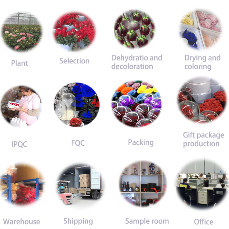 TSM preserved flower company.png
