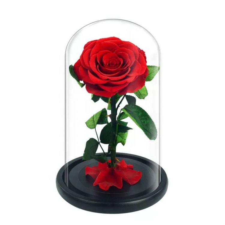 Preserved <a href=https://tsmpreservedflower.com/Preserved-Rose-Head.html target='_blank'>roses</a>, Eternal <a href=https://tsmpreservedflower.com/Preserved-Rose-Head.html target='_blank'>roses</a>, Preserved <a href=https://tsmpreservedflower.com/Preserved-Rose-Head.html target='_blank'>roses</a> In Glass Dome 8.jpg