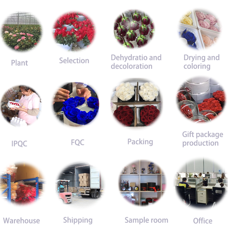 TSM preserved flower company-long lasting rose in gift box.png