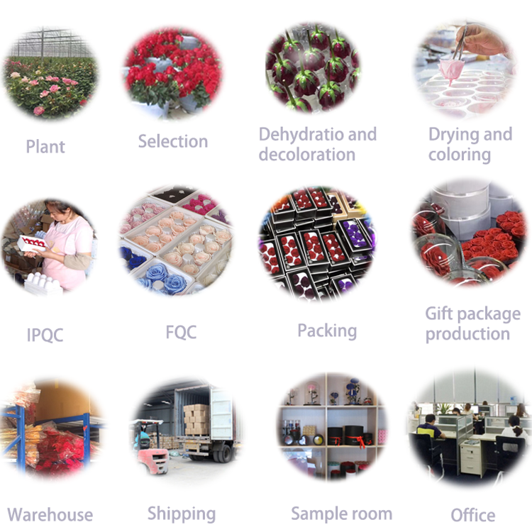 TSM preserved flower company-eternal <a href=https://tsmpreservedflower.com/Preserved-Rose-Head.html target='_blank'>flowers</a> bud.png