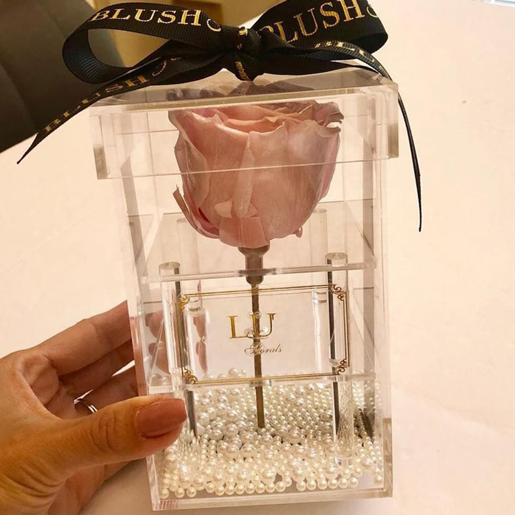 Flower Box Acrylic, Acrylic Boxes For <a href=https://tsmpreservedflower.com/Preserved-Rose-Head.html target='_blank'>flowers</a>, <a href=https://tsmpreservedflower.com/Preserved-Rose-Head.html target='_blank'>roses</a> in Acrylic Box 25.png