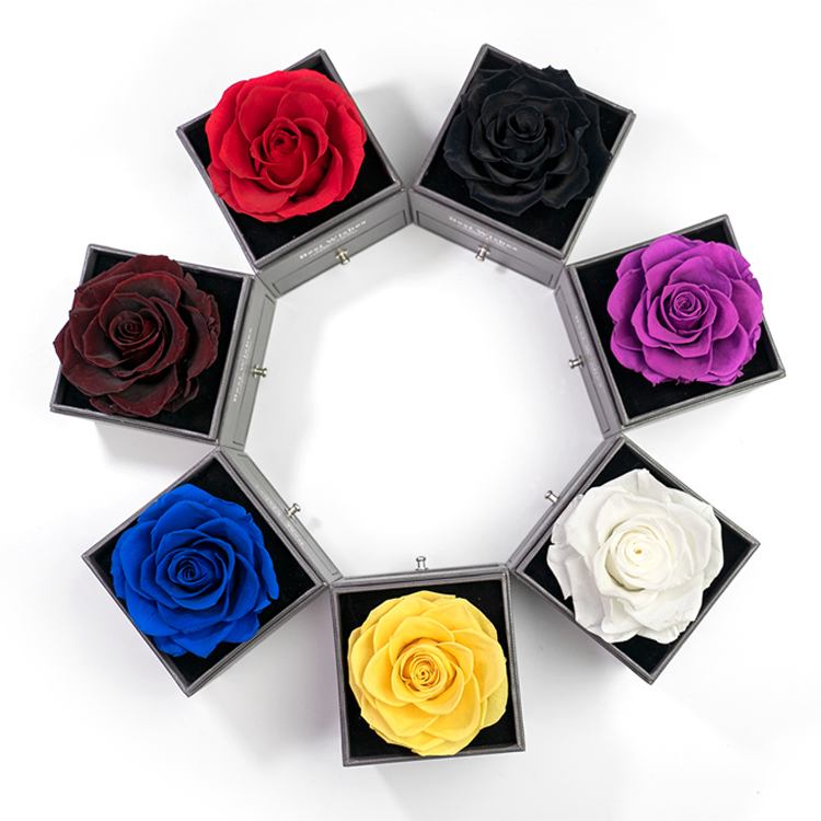 Preserved <a href=https://tsmpreservedflower.com/Preserved-Rose-Head.html target='_blank'>flowers</a>, Eternal <a href=https://tsmpreservedflower.com/Preserved-Rose-Head.html target='_blank'>flowers</a>, Forever <a href=https://tsmpreservedflower.com/Preserved-Rose-Head.html target='_blank'>flowers</a> 8.png