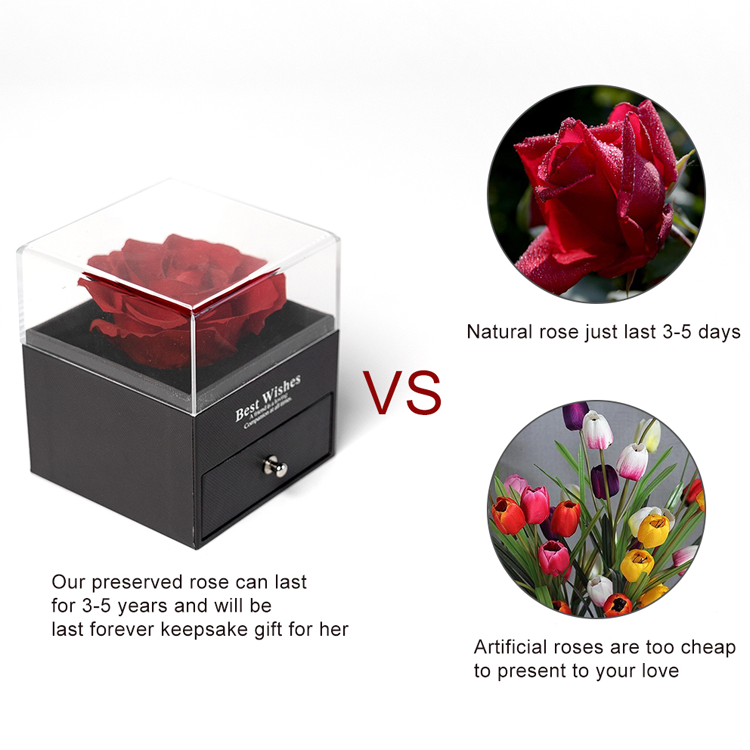 Preserved <a href=https://tsmpreservedflower.com/Preserved-Rose-Head.html target='_blank'>flowers</a>, Eternal <a href=https://tsmpreservedflower.com/Preserved-Rose-Head.html target='_blank'>flowers</a>, Forever Flowers 12.png