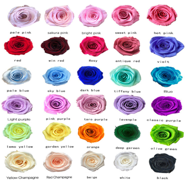 Preserved <a href=https://tsmpreservedflower.com/Preserved-Rose-Head.html target='_blank'>flowers</a>, Eternal <a href=https://tsmpreservedflower.com/Preserved-Rose-Head.html target='_blank'>flowers</a>, Forever <a href=https://tsmpreservedflower.com/Preserved-Rose-Head.html target='_blank'>flowers</a>.png