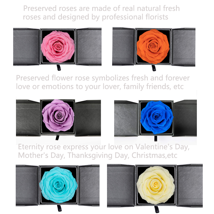Preserved <a href=https://tsmpreservedflower.com/Preserved-Rose-Head.html target='_blank'>flowers</a>, Eternal <a href=https://tsmpreservedflower.com/Preserved-Rose-Head.html target='_blank'>flowers</a>, Forever <a href=https://tsmpreservedflower.com/Preserved-Rose-Head.html target='_blank'>flowers</a>, Infinity Rose 1.png