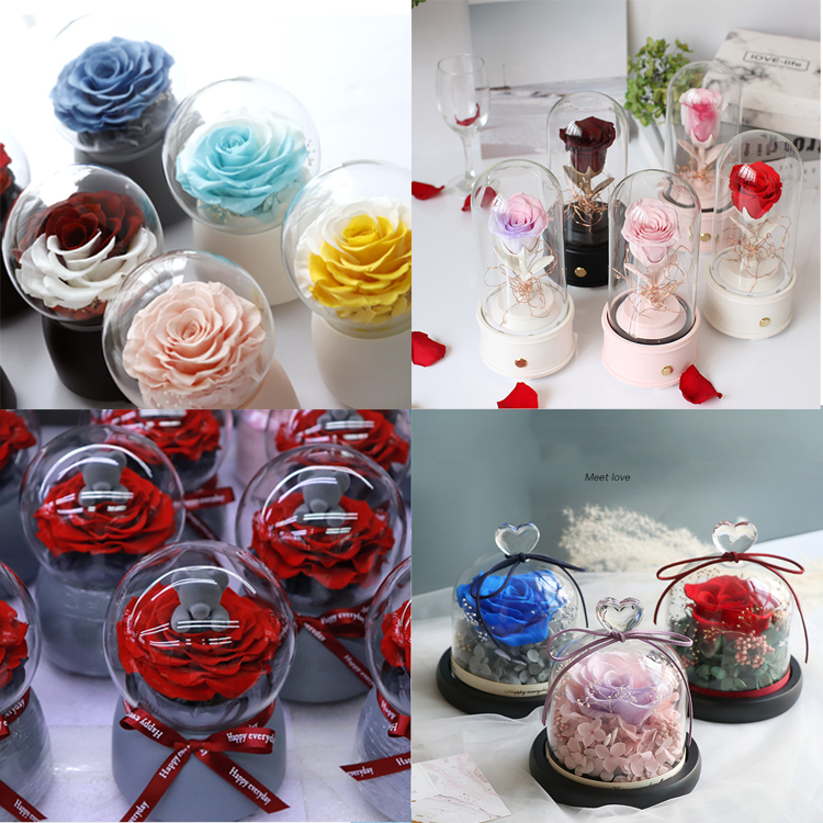 Rose Bear Flower,Roses In Dome Glass,Rose In Music Box 6.png