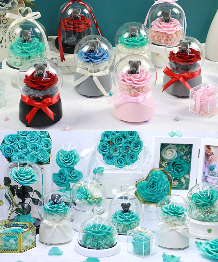 Rose Bear Flower,<a href=https://tsmpreservedflower.com/Preserved-Rose-Head.html target='_blank'>roses</a> In Dome Glass,Rose In Glass Dome Flower 10.png