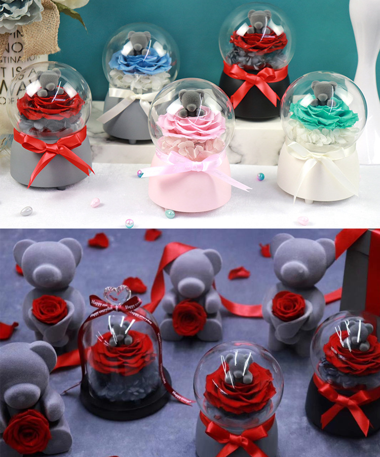 Rose Bear Flower,<a href=https://tsmpreservedflower.com/Preserved-Rose-Head.html target='_blank'>roses</a> In Dome Glass,Rose In Glass Dome Flower 9.png