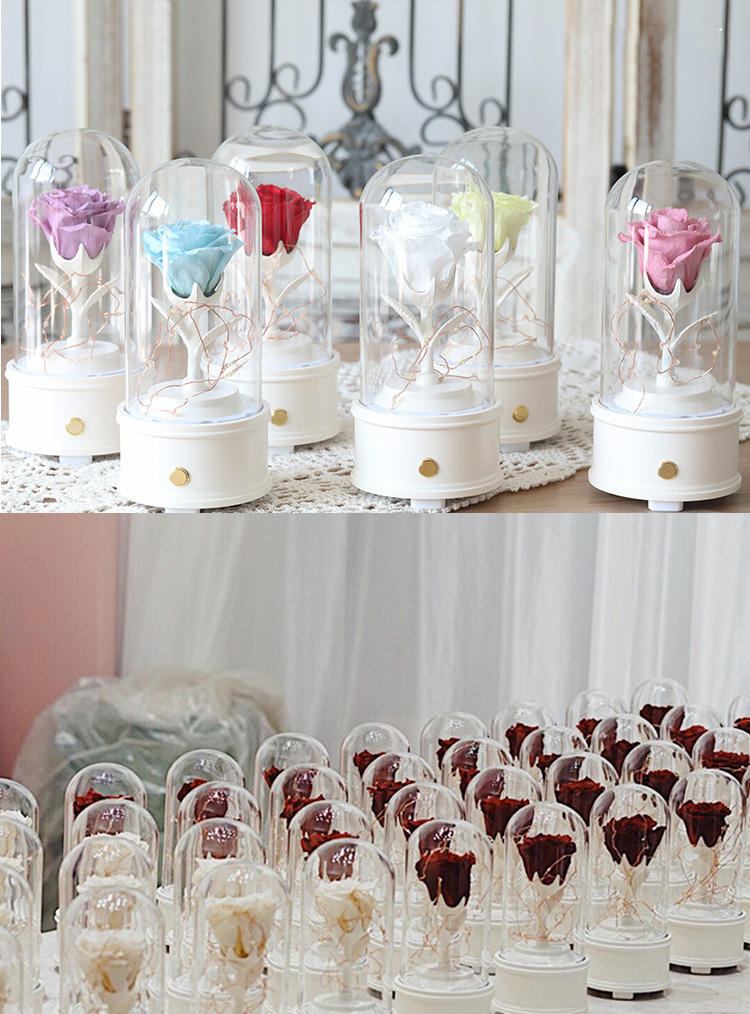 Preserved Flower,Preserved Rose In Glass Dome,Music Box Flower 15.png