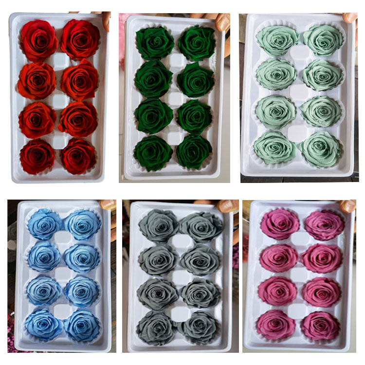 Preserved <a href=https://tsmpreservedflower.com/Preserved-Rose-Head.html target='_blank'>roses</a>, <a href=https://tsmpreservedflower.com/ target='_blank'>Preserved <a href=https://tsmpreservedflower.com/Preserved-Rose-Head.html target='_blank'>flowers</a></a>, Eternal <a href=https://tsmpreservedflower.com/Preserved-Rose-Head.html target='_blank'>roses</a> 29.jpg