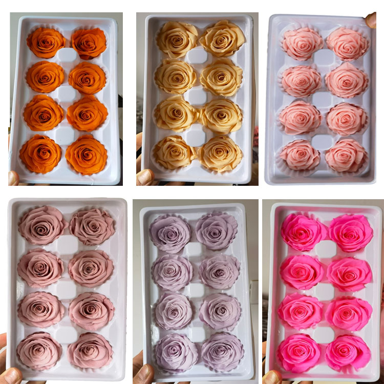 Preserved <a href=https://tsmpreservedflower.com/Preserved-Rose-Head.html target='_blank'>roses</a>, <a href=https://tsmpreservedflower.com/ target='_blank'>Preserved <a href=https://tsmpreservedflower.com/Preserved-Rose-Head.html target='_blank'>flowers</a></a>, Eternal <a href=https://tsmpreservedflower.com/Preserved-Rose-Head.html target='_blank'>roses</a> 30.jpg