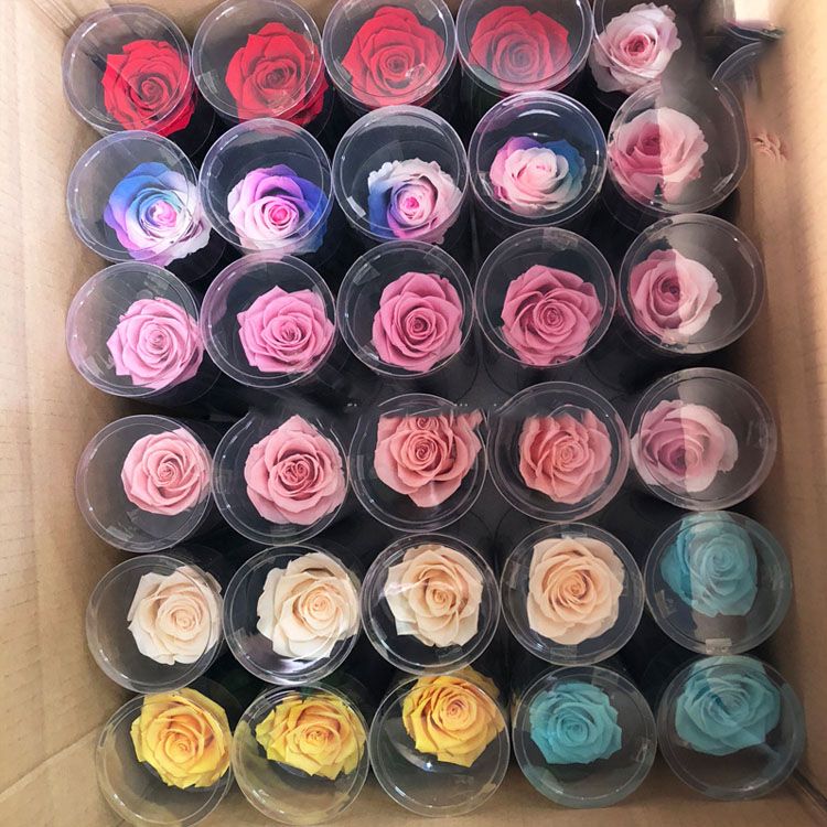 Preserved <a href=https://tsmpreservedflower.com/Preserved-Rose-Head.html target='_blank'>flowers</a>, Eternal <a href=https://tsmpreservedflower.com/Preserved-Rose-Head.html target='_blank'>flowers</a>, Forever <a href=https://tsmpreservedflower.com/Preserved-Rose-Head.html target='_blank'>flowers</a> 7.jpg