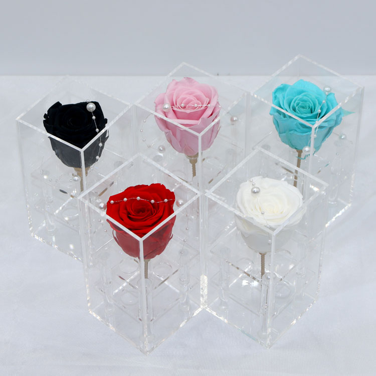Eternal Rose, <a href=https://tsmpreservedflower.com/ target='_blank'>Preserved <a href=https://tsmpreservedflower.com/Preserved-Rose-Head.html target='_blank'>flowers</a></a>, Transparent Acrylic Boxes 7.jpg