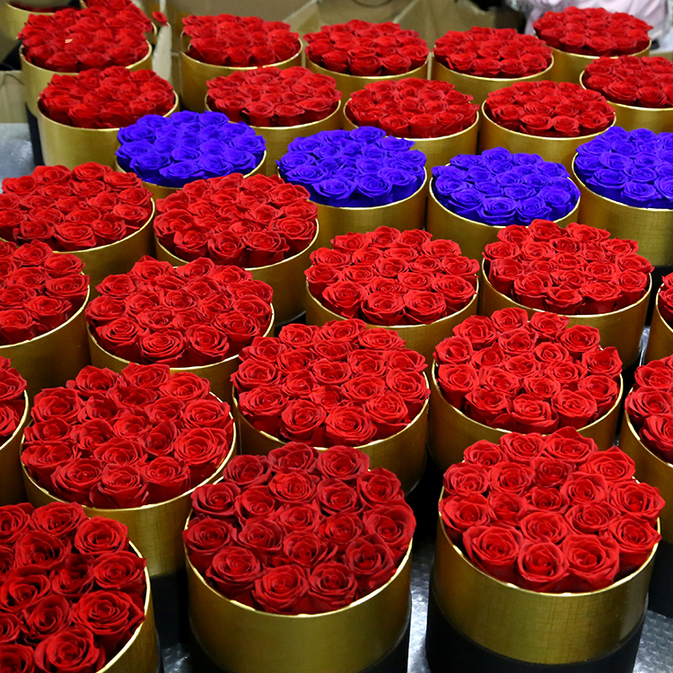 Preserved Real <a href=https://tsmpreservedflower.com/Preserved-Rose-Head.html target='_blank'>roses</a>, Rose Stabilize, Christmas Gift 8.png