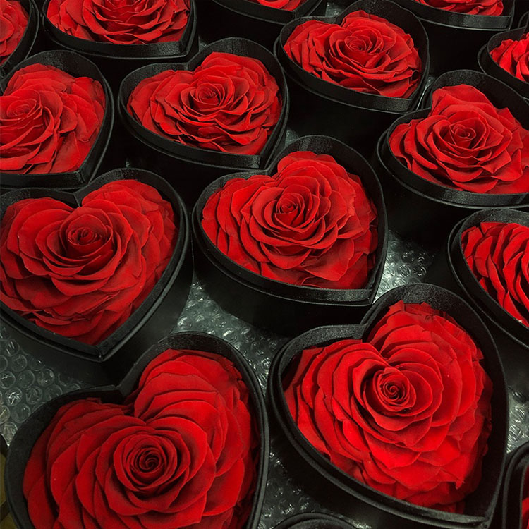Everlasting <a href=https://tsmpreservedflower.com/Preserved-Rose-Head.html target='_blank'>flowers</a>, Big Heart Preserved Rose, Roses In Heart Shape Box With Window 13.jpg