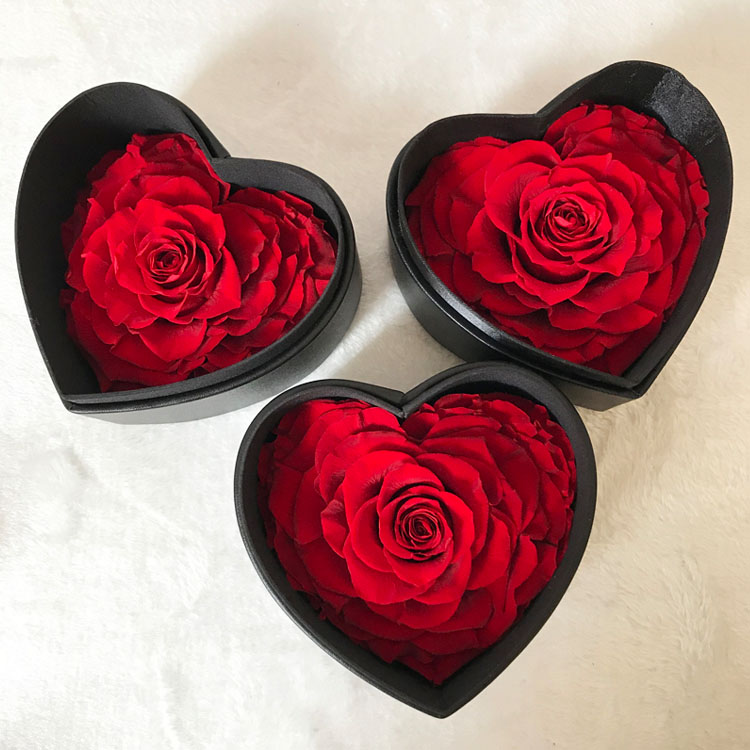 Everlasting <a href=https://tsmpreservedflower.com/Preserved-Rose-Head.html target='_blank'>flowers</a>, Big Heart Preserved Rose, Roses In Heart Shape Box With Window 9.jpg