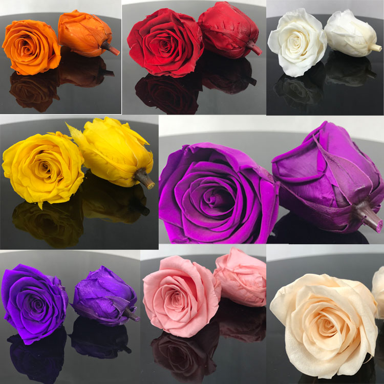 Preserved <a href=https://tsmpreservedflower.com/Preserved-Rose-Head.html target='_blank'>flowers</a>, Eternal <a href=https://tsmpreservedflower.com/Preserved-Rose-Head.html target='_blank'>flowers</a>, Forever <a href=https://tsmpreservedflower.com/Preserved-Rose-Head.html target='_blank'>flowers</a> 3.jpg