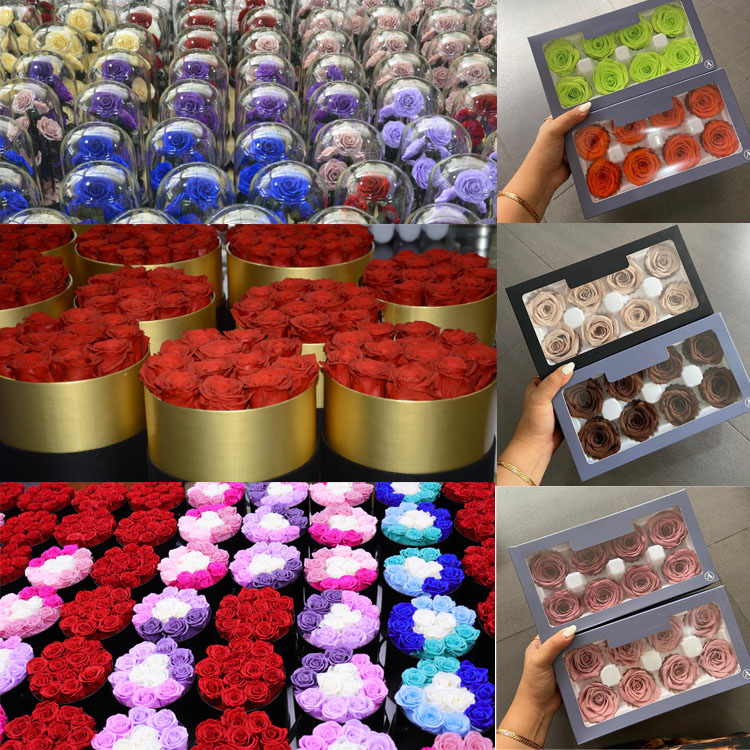 Preserved <a href=https://tsmpreservedflower.com/Preserved-Rose-Head.html target='_blank'>flowers</a>, Eternal <a href=https://tsmpreservedflower.com/Preserved-Rose-Head.html target='_blank'>flowers</a>, Forever <a href=https://tsmpreservedflower.com/Preserved-Rose-Head.html target='_blank'>flowers</a> 2.jpg