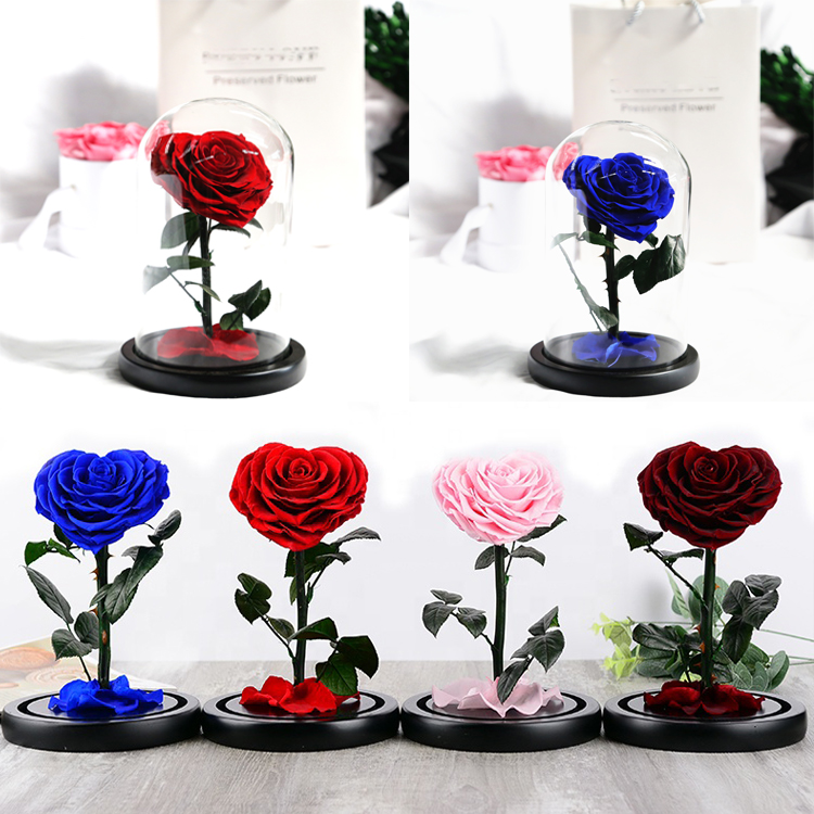 Eternal Rose In Glass, Preserved <a href=https://tsmpreservedflower.com/Preserved-Rose-Head.html target='_blank'>roses</a>, <a href=https://tsmpreservedflower.com/ target='_blank'>Preserved <a href=https://tsmpreservedflower.com/Preserved-Rose-Head.html target='_blank'>flowers</a></a> Rose 8.jpg