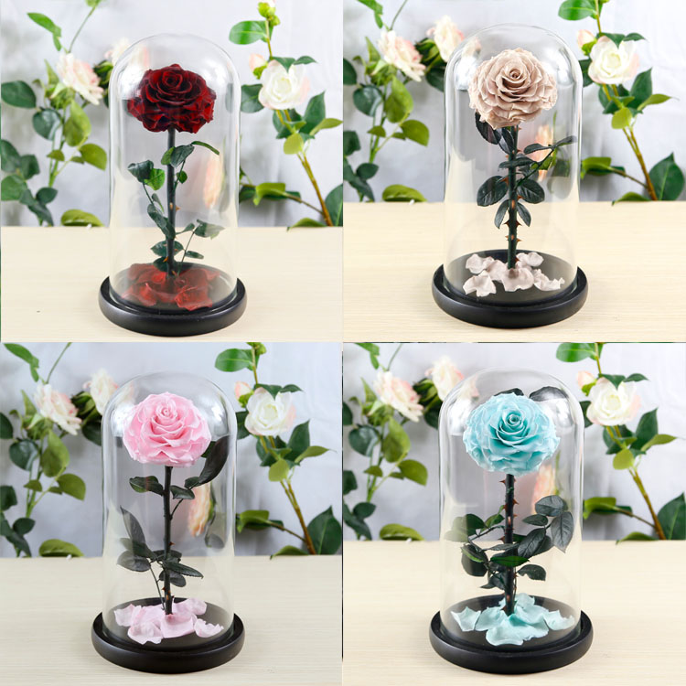Forever Rose In Glass Dome, Thanksgiving Gifts, Enchanted Rose in Glass Dome 12.jpg