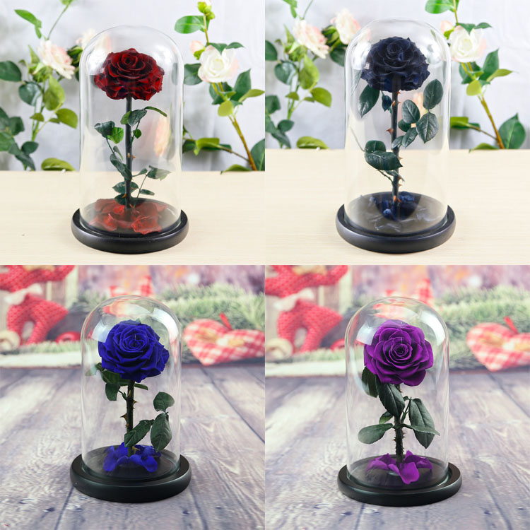 Forever Rose In Glass Dome, Thanksgiving Gifts, Enchanted Rose in Glass Dome 13.jpg