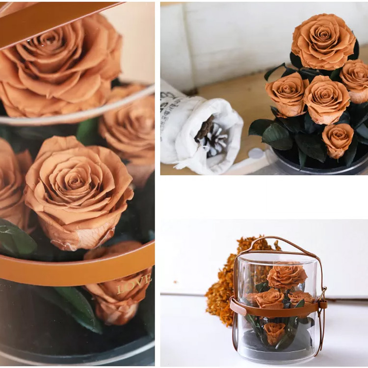 Natural Preserved <a href=https://tsmpreservedflower.com/Preserved-Rose-Head.html target='_blank'>roses</a>, Long Stem Roses Box, Acrylic <a href=https://tsmpreservedflower.com/flower-packaging.html target='_blank'>Flower Box</a> 11.jpg